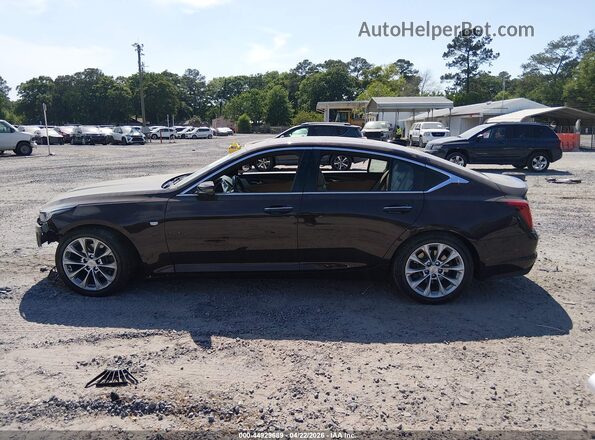 1G6DN5RW8M0143441 2021 CADILLAC CT5 Burgundy 