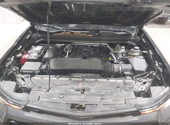 1GCGTBEC3R1118040 2024 CHEVROLET COLORADO Black Widok z tyłu