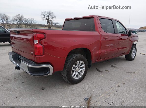 1GCUDDED4PZ206565 2023 CHEVROLET SILVERADO Red უკანა მარჯვენა