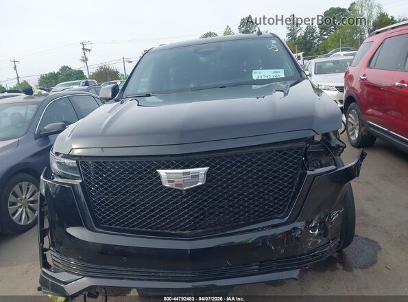 1GYS4GKL7RR283559 2024 CADILLAC ESCALADE Черный Вид задней части салона