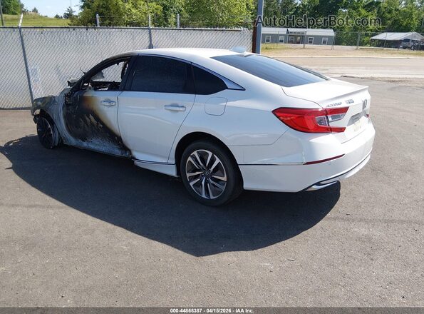 1HGCV3F90KA001007 2019 HONDA ACCORD White Tył lewy
