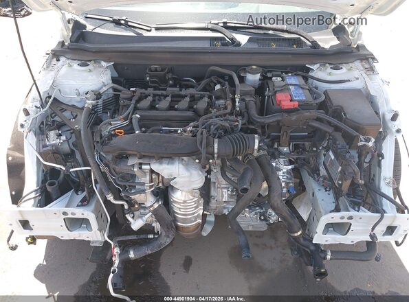 1HGCY1F22PA050389 2023 HONDA ACCORD White Widok z tyłu