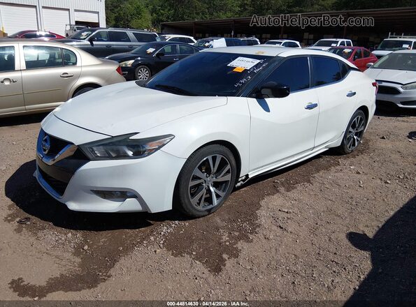 1N4AA6AP2GC403928 2016 NISSAN MAXIMA White Przód lewy