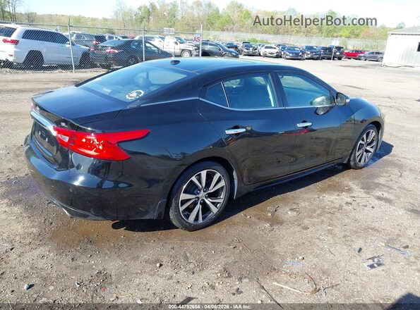 1N4AA6AP2GC443202 2016 NISSAN MAXIMA Черный Задняя правая четверть