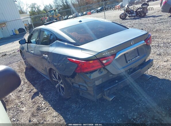 1N4AA6AP4HC442697 2017 NISSAN MAXIMA Серый Задняя левая четверть