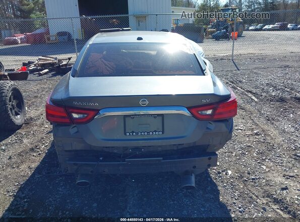 1N4AA6AP4HC442697 2017 NISSAN MAXIMA Серый 