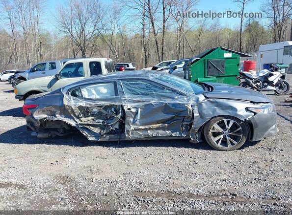 1N4AA6AP4HC442697 2017 NISSAN MAXIMA Серый Вид задней части салона