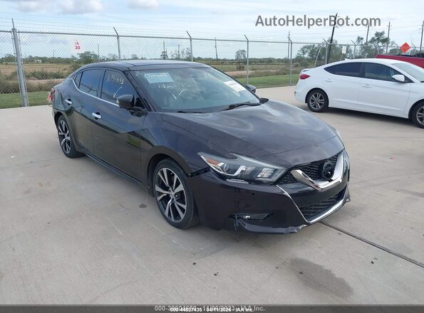1N4AA6AP6GC384980 2016 NISSAN MAXIMA Dark Brown Դիմացի տեսք