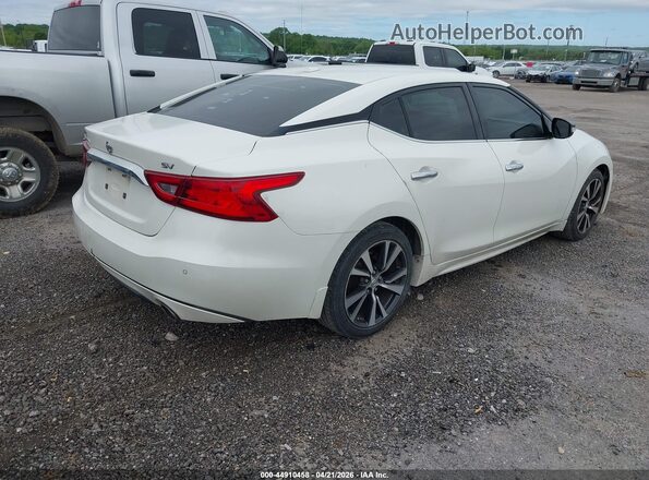 1N4AA6AP6GC388012 2016 NISSAN MAXIMA White Задня права чверть