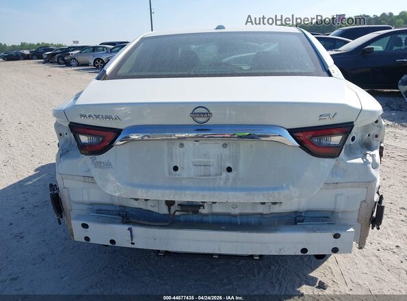 1N4AA6CV7PC511571 2023 NISSAN MAXIMA White 