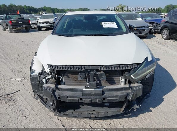 1N4AA6CV7PC511571 2023 NISSAN MAXIMA White 