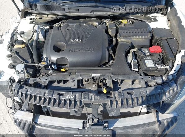 1N4AA6CV7PC511571 2023 NISSAN MAXIMA White Вид ззаду