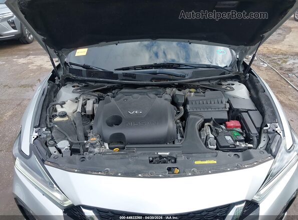 1N4AA6DVXLC372819 2020 NISSAN MAXIMA SL Gray Widok z tyłu
