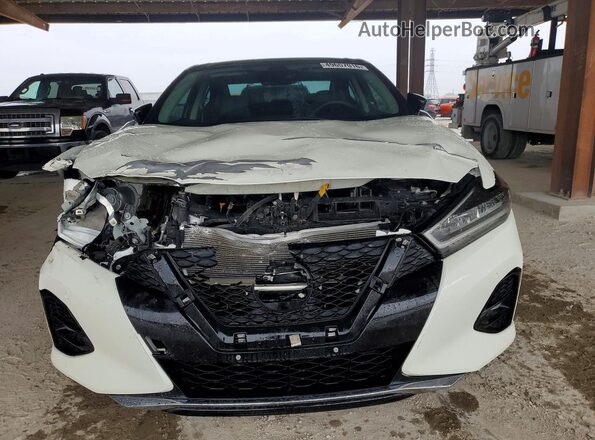 1N4AA6FV7PC505183 2023 NISSAN MAXIMA PLATINUM White Front view