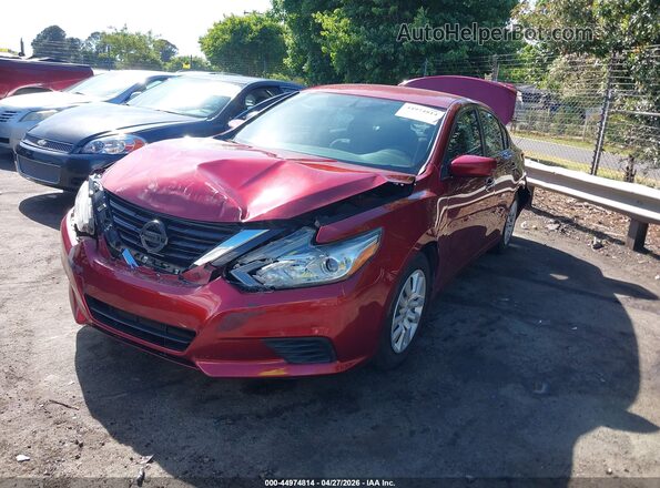 1N4AL3AP1HC230770 2017 NISSAN ALTIMA Red Przód lewy