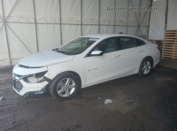 1G1ZB5ST2RF173656 2024 CHEVROLET MALIBU White 