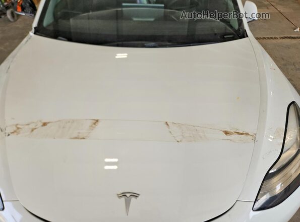5YJ3E1EA8LF612488 2020 TESLA MODEL White 