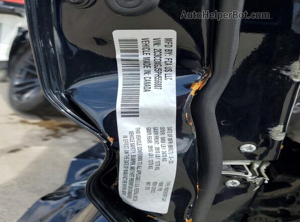 2C3CDXGJ5PH556887 2023 DODGE CHARGER Black Вид наклейки з VIN-кодом