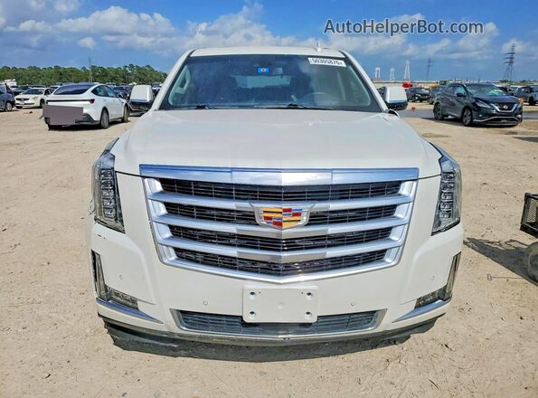 1GYS4CKJ9KR127049 2019 CADILLAC ESCALADE Белый Вид сзади