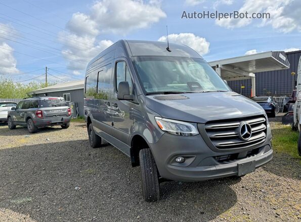 W1W4NBVYXST212908 2025 MERCEDES-BENZ SPRINTER Blue Հետևի ձախ
