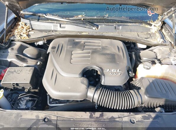 2C3CDXBG5MH681881 2021 DODGE CHARGER Серый Вид сзади