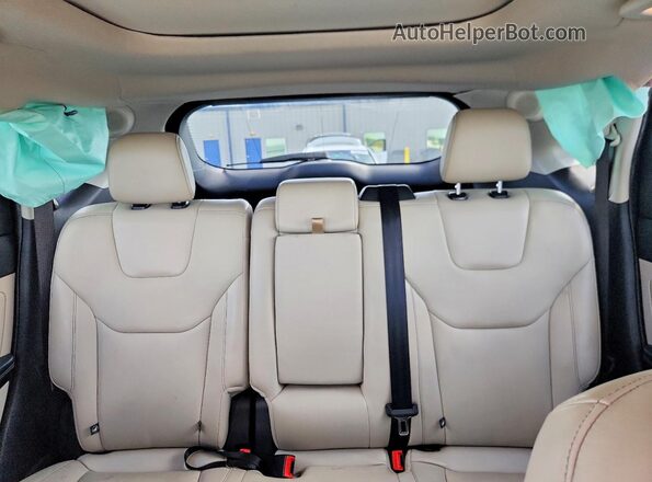 2FMPK4K91MBA21094 2021 FORD EDGE Желто-коричневый Вид задних сидений