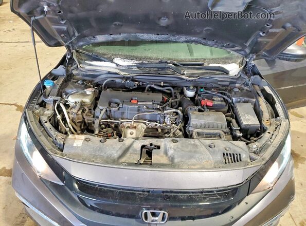 2HGFC2F51MH007185 2021 HONDA CIVIC Угольный Вид задней части салона