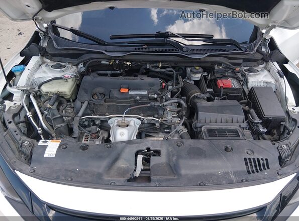 2HGFC2F60KH597790 2019 HONDA CIVIC White Вид ззаду