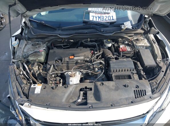2HGFC2F70HH512061 2017 HONDA CIVIC White Widok z tyłu