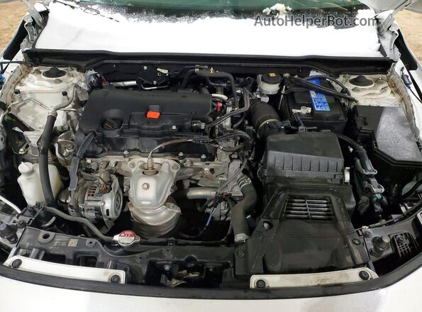 2HGFE2F52RH102842 2024 HONDA CIVIC Белый Вид задней части салона