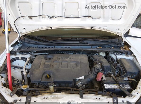 2T1BURHE4GC482974 2016 TOYOTA LL White Вид ззаду
