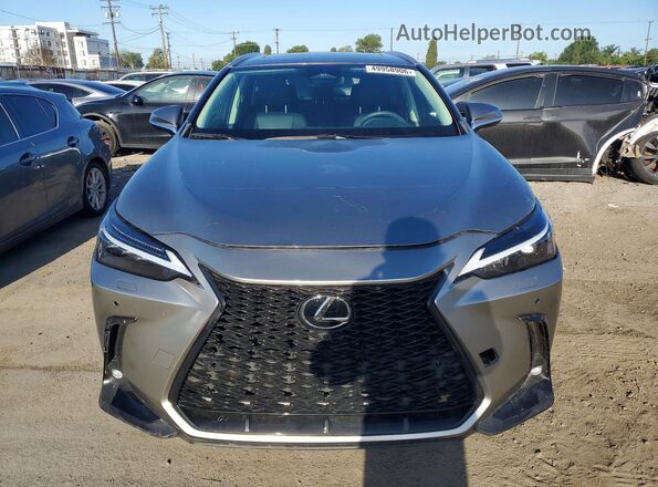 2T2ADCAZ2RC013077 2024 LEXUS NX Gray Vista frontal