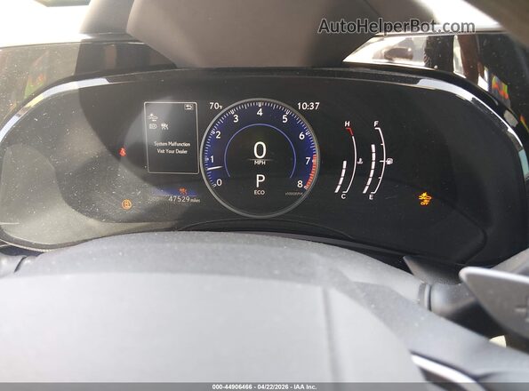 2T2ADCAZ3RC014237 2024 LEXUS NX 250 Tan უკანა სავარძლების ხედი
