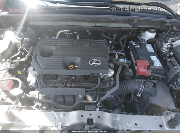 2T2ADCAZ3RC014237 2024 LEXUS NX 250 Tan უკანა ხედი