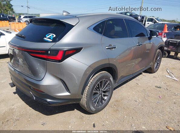 2T2ADCAZ3RC014237 2024 LEXUS NX 250 Tan უკანა მარჯვენა