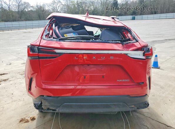 2T2ADCAZ6RC006696 2024 LEXUS NX Red Вид ззаду