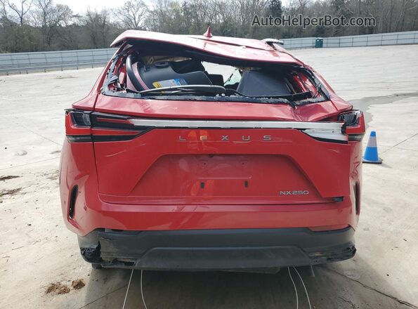 2T2ADCAZ6RC006696 2024 LEXUS NX Red 