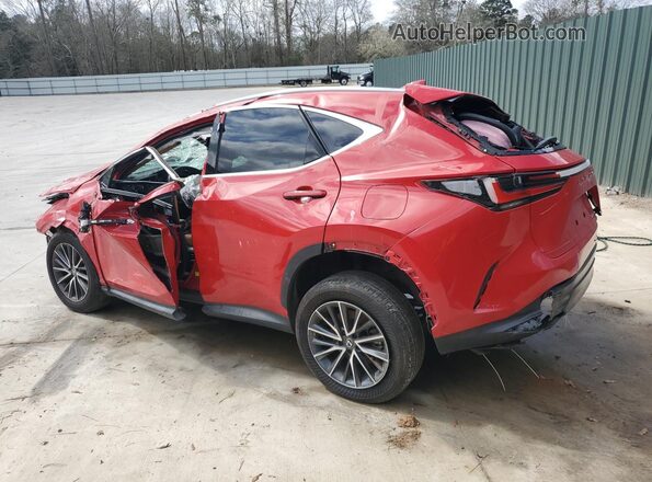 2T2ADCAZ6RC006696 2024 LEXUS NX Red 