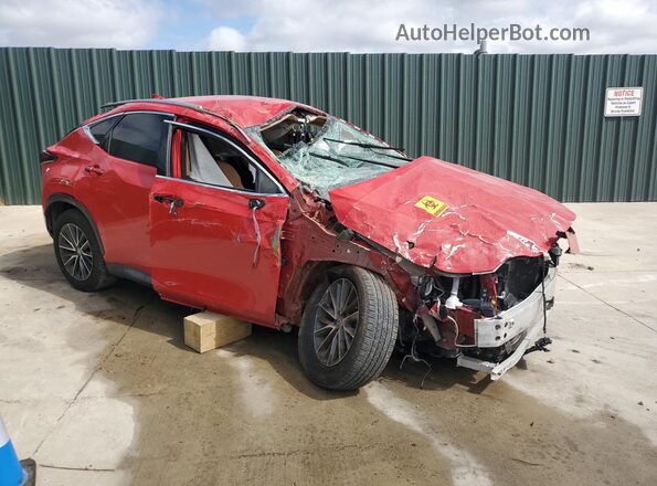 2T2ADCAZ6RC006696 2024 LEXUS NX Red Панорамний вид салону 360°