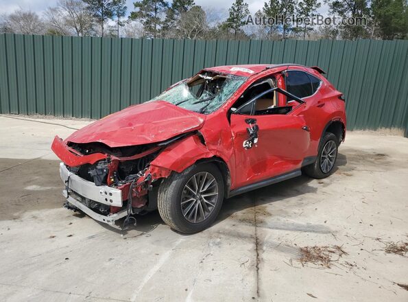 2T2ADCAZ6RC006696 2024 LEXUS NX Red 
