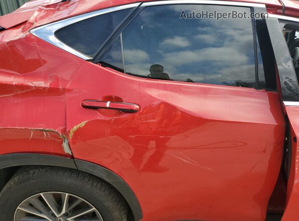 2T2ADCAZ6RC006696 2024 LEXUS NX Red 