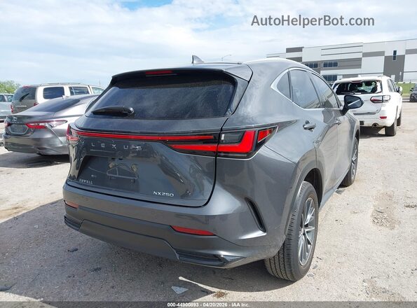 2T2ADCAZ7SC022475 2025 LEXUS NX 250 Gray 