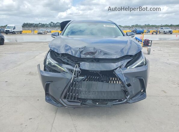 2T2ADCAZ8PC003702 2023 LEXUS NX Gray Front view