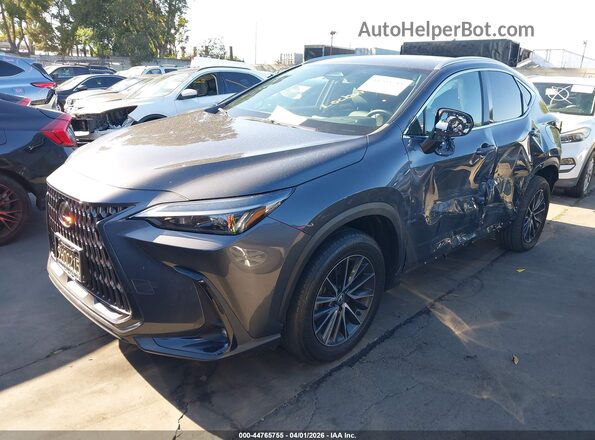 2T2ADCAZ9RC009947 2024 LEXUS NX 250 Gray Передня ліва чверть