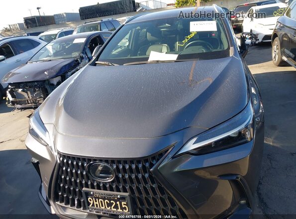 2T2ADCAZ9RC009947 2024 LEXUS NX 250 Gray Вид задньої частини салону