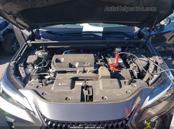 2T2ADCAZ9RC009947 2024 LEXUS NX 250 Gray Вид ззаду