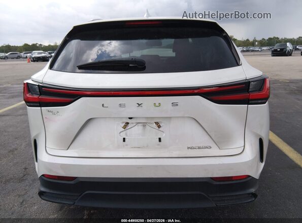 2T2ADCAZXNC001818 2022 LEXUS NX 250 White 