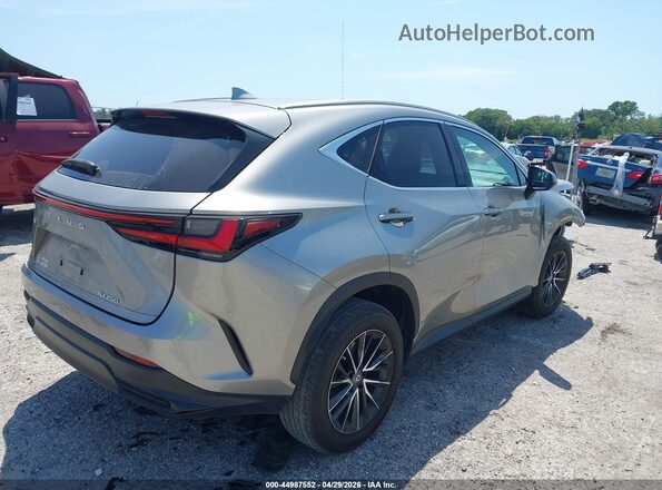 2T2ADCAZXPC005001 2023 LEXUS NX 250 Beige უკანა მარჯვენა