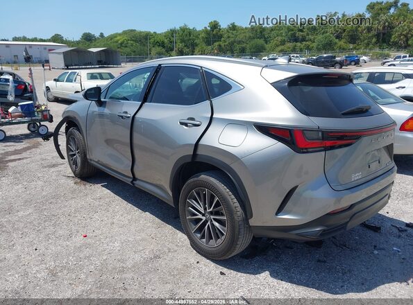 2T2ADCAZXPC005001 2023 LEXUS NX 250 Beige უკანა მარცხენა