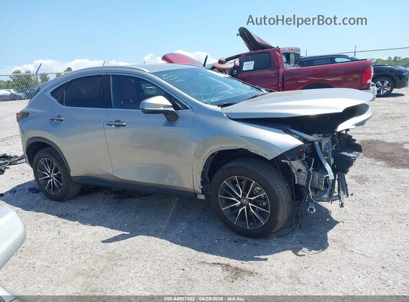 2T2ADCAZXPC005001 2023 LEXUS NX 250 Beige უკანა სალონის ხედი